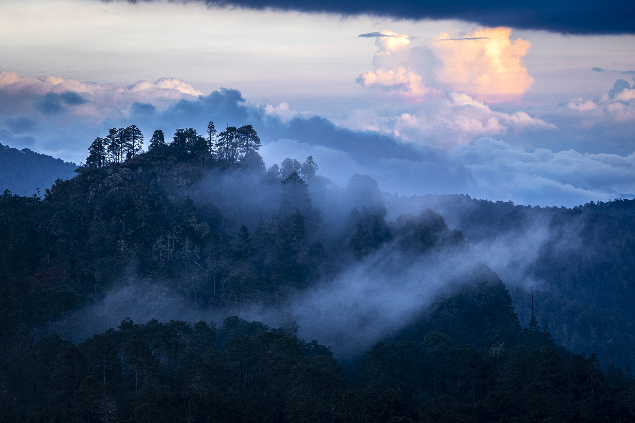Bosques-comunales-de-Pueblos-Mancomunados.jpg